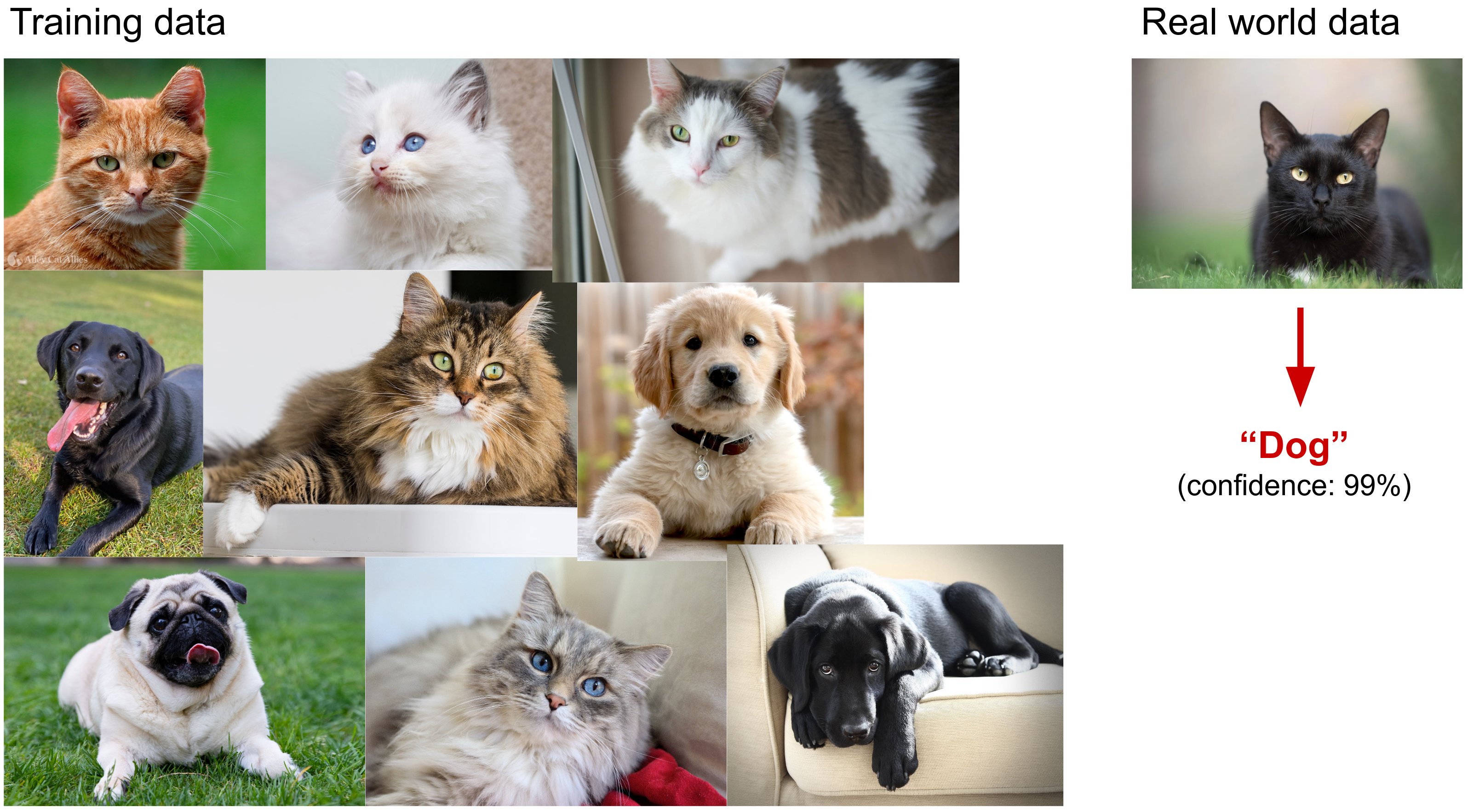 A cat/dog image classifier trained mostly on light-furred cats and dark-furred dogs misclassifies a real-world dark-furred cat as a dog